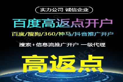 百度SEO推广策略调整：一个成功的调整案例